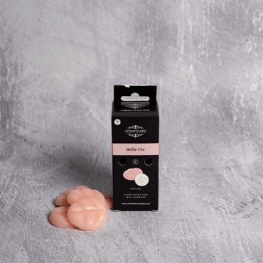 Scentchips Σετ 10 τεμαχίων Αρωματικά Χώρου 'Belle Vie' σε Κουτί 2700040